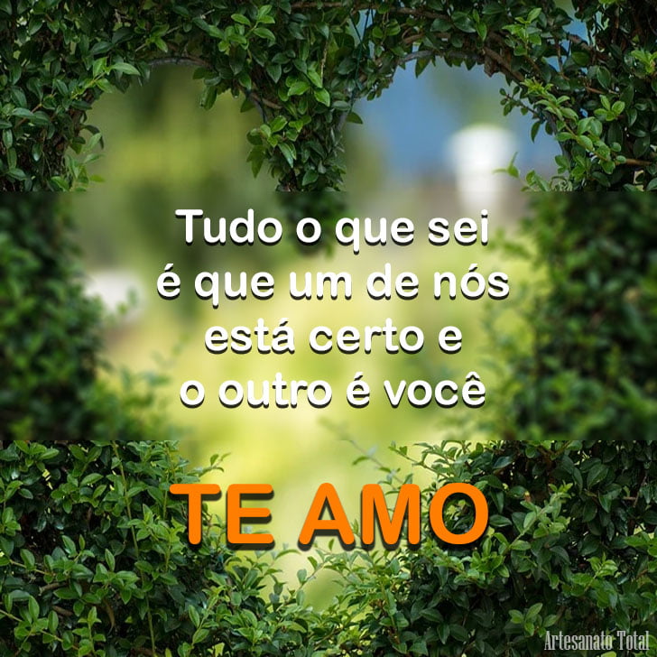 Frases de amor para whatsapp engraçadas e curtas para status