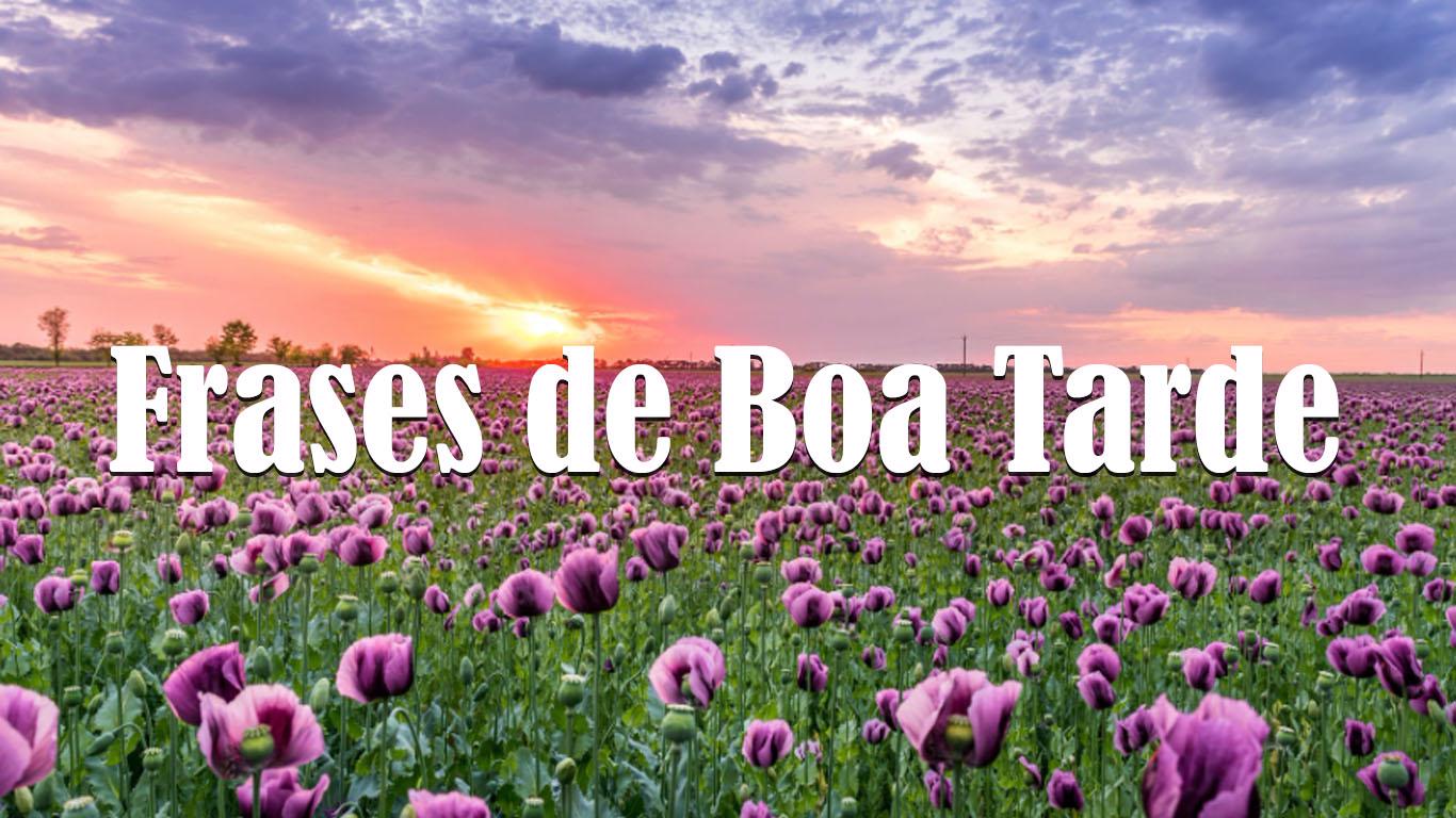 Frases de boa tarde